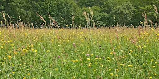 Hauptbild für Ecopoetics as Ritual, Part 1