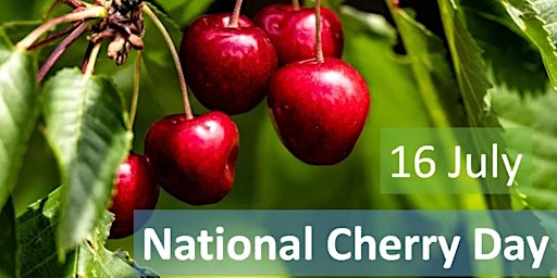 Hauptbild für Cherry Day, w/ Chocolate Covered Cherry Shots & Ales @ Katie Mc's Irish Pub