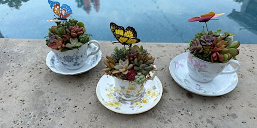 Imagem principal do evento Earth  Day Succulent Tea Cup Workshop