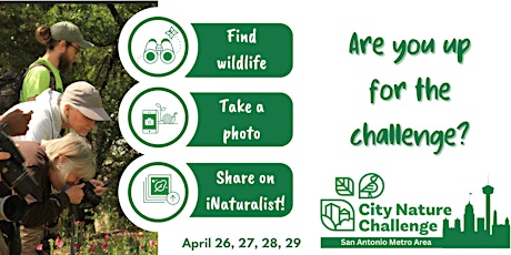 City Nature Challenge Observation Walk at Fischer Park Nature Center