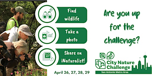 Imagem principal do evento Crownridge - City Nature Challenge - ID Walk