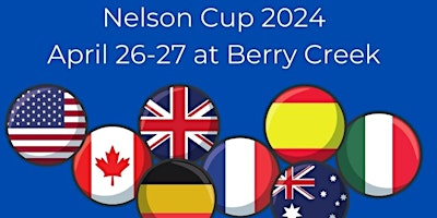 Primaire afbeelding van The Nelson Tennis Foundation Tennis Tournament:  Davis Cup Challenge