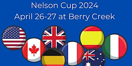 The Nelson Tennis Foundation Tennis Tournament:  Davis Cup Challenge