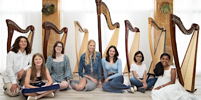 Primaire afbeelding van South West Harp Orchestra Summer Camp