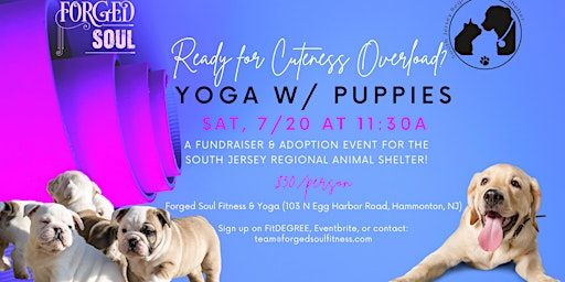 Imagem principal do evento Puppy Yoga w/ South Jersey Regional Animal Shelter Fundraiser!