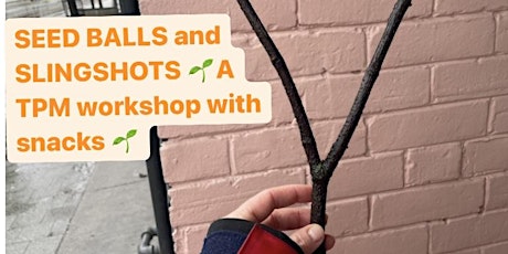 Seed balls and slingshots : Helping native plants get around town !