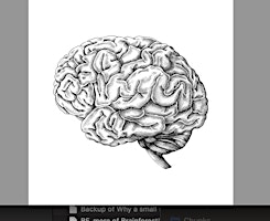 Imagem principal de A customized owner's manual for the brain intro session