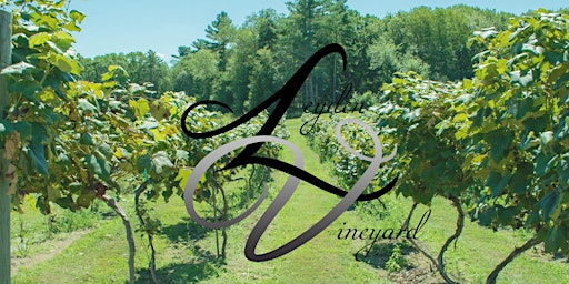 Hauptbild für Leyden Vineyards Wine Tasting- Spring/ Summer 2024