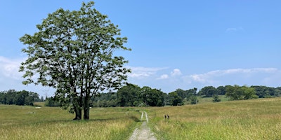 Imagen principal de Spring Has Sprung on Buttermilk Hill