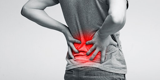Imagem principal do evento Low Back Pain Workshop