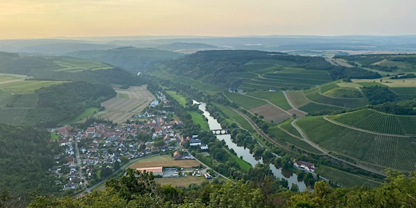 A German wine discovery tour