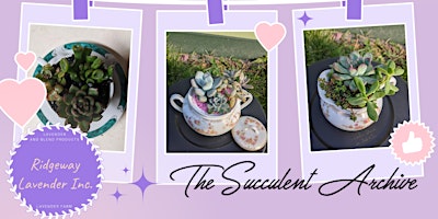 Mother's Day Succulent Workshop - Ridgeway Lavender & The Succulent Archive primary image