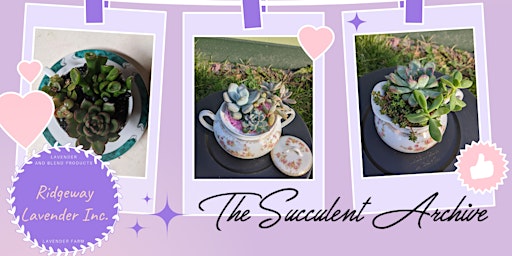 Mother's Day Succulent Workshop - Ridgeway Lavender & The Succulent Archive  primärbild