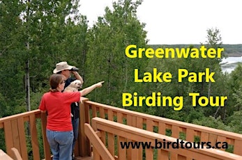 Greenwater Lake Park Birdwatching Tour