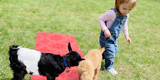 Imagem principal de BABY GOAT YOGA: Toddler & Me (ages 2-4) *up to two parents/caregivers