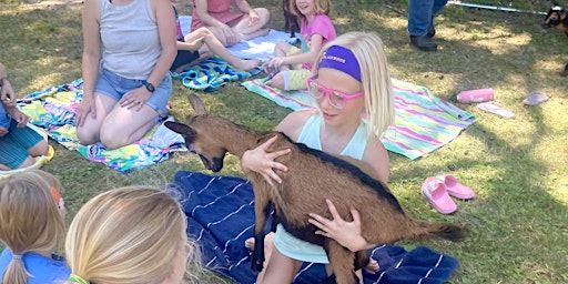 Imagem principal do evento FAMILY BABY GOAT YOGA! Ages 5+