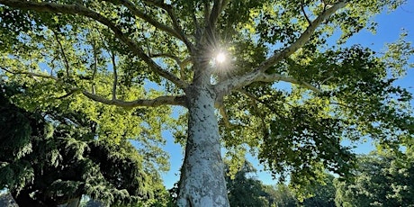 Arbor Day Tree Identification Walk