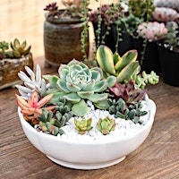 Succulent Bowl Workshop primary image