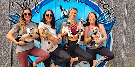 Imagem principal do evento Baby Goat Yoga at Jaybird Hammock Farm - Private Bachelorette Event