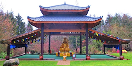 So,.14.04.24 Wanderdate Buddhas Panoramaweg im Odenwald für 40-59J primary image