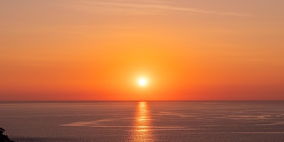 Sunset and Wildlife  Watching Boat Ride primary image