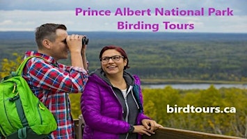 Hauptbild für Prince Albert National Park Birdwatching Tour