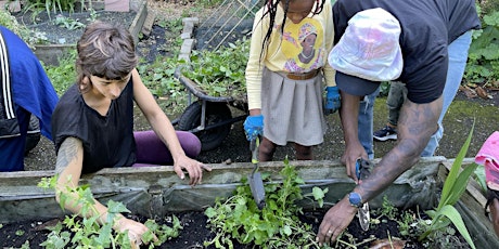 Gardening