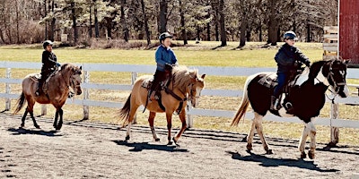 Hauptbild für A Horse's Friend Spring Break Horse Camp
