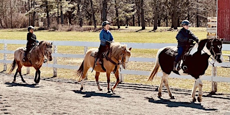 A Horse's Friend Spring Break Horse Camp