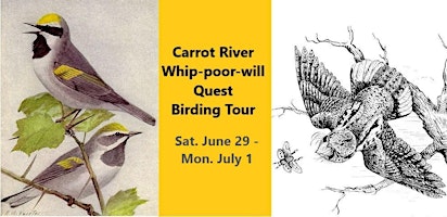 Imagem principal do evento Carrot River Birdwatching Tour
