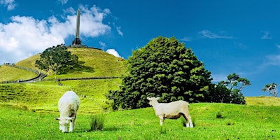 Immagine principale di She Walks: Cornwall Park 