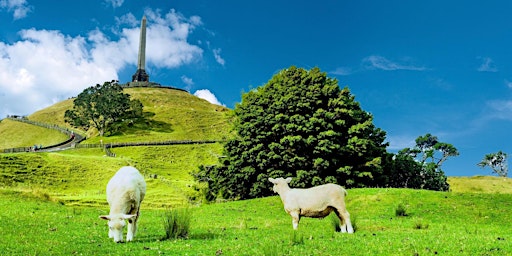 She Walks: Cornwall Park