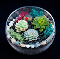 Immagine principale di Plant Nite: Make a Succulent Terrarium 