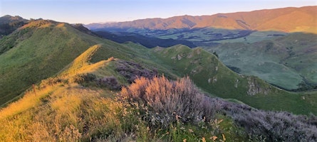 Imagem principal do evento Kereru Hill Country Walk