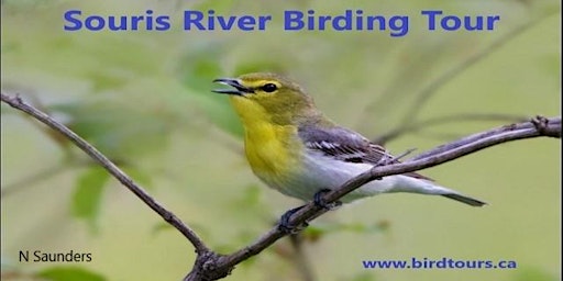 Souris River Valley 3-day Birding Tour primary image