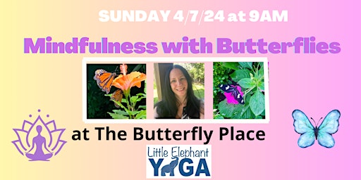 Primaire afbeelding van Mindfulness with Butterflies 4/7/24
