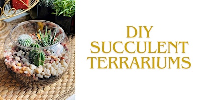 DIY Succulent Terrariums primary image