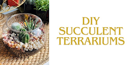 DIY Succulent Terrariums primary image