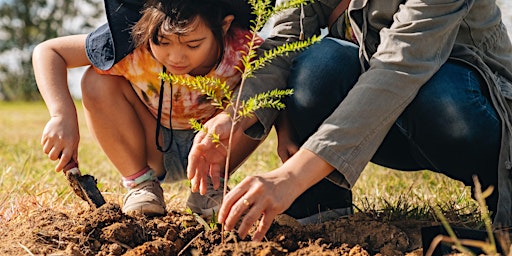 Image principale de Community Planting Day at Lions Park Lower Tenthill