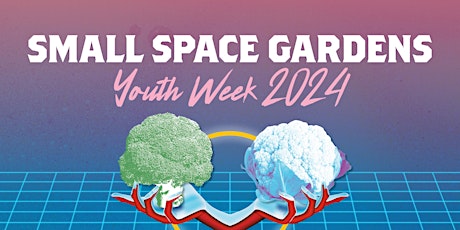 Small Space Gardens (ages 12 - 25)