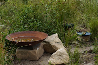 Creating a garden for local wildlife