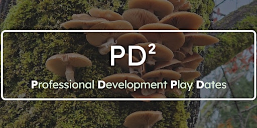 Primaire afbeelding van PD² - A Day of Play for K-8 Teachers - Meridian Playground (July 10th)