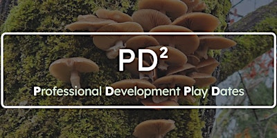 Imagem principal de PD² - A Day of Play for K-8 Teachers - Meridian Playground (July 10th)