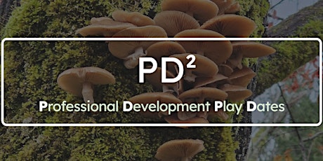 PD² - A Day of Play for K-8 Teachers - Liberty Park (July 8th)