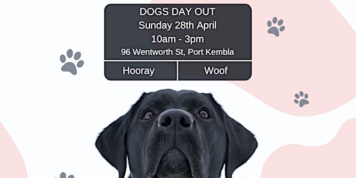 Imagem principal de Dogs Day Out