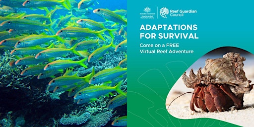 School Holiday Activity: Virtual Reef Adventure - Adaptations for survival primary image
