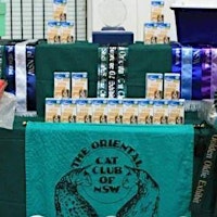 The Oriental Cat Show is prowling into the St Ives Showground Sat 28th Sept primary image