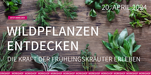 Primaire afbeelding van Wildpflanzen Workshop – Die Kraft der Frühlingskräuter entdecken