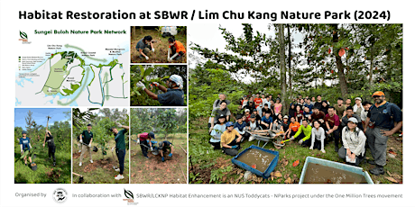Imagem principal do evento Habitat Restoration at SBWR/Lim Chu Kang Nature Park (Apr 2024)