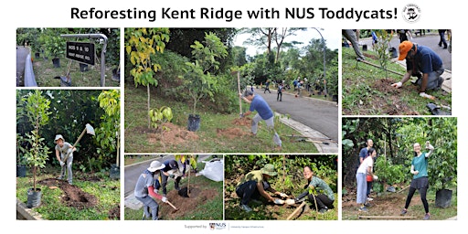 Immagine principale di Reforesting Kent Ridge with NUS Toddycats! (20th Apr 2024 - Reading Week) 